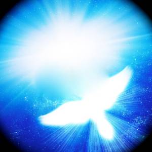 12691382-glowing-dove-against-blue-rays